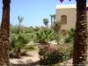 Hotel Sheraton Miramar Resort El Gouna 04467